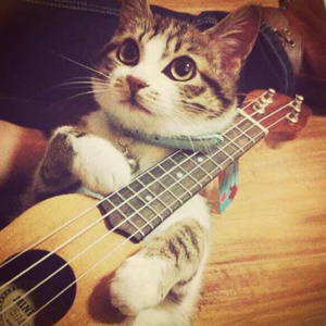 小乔裸体被❌叫爽
